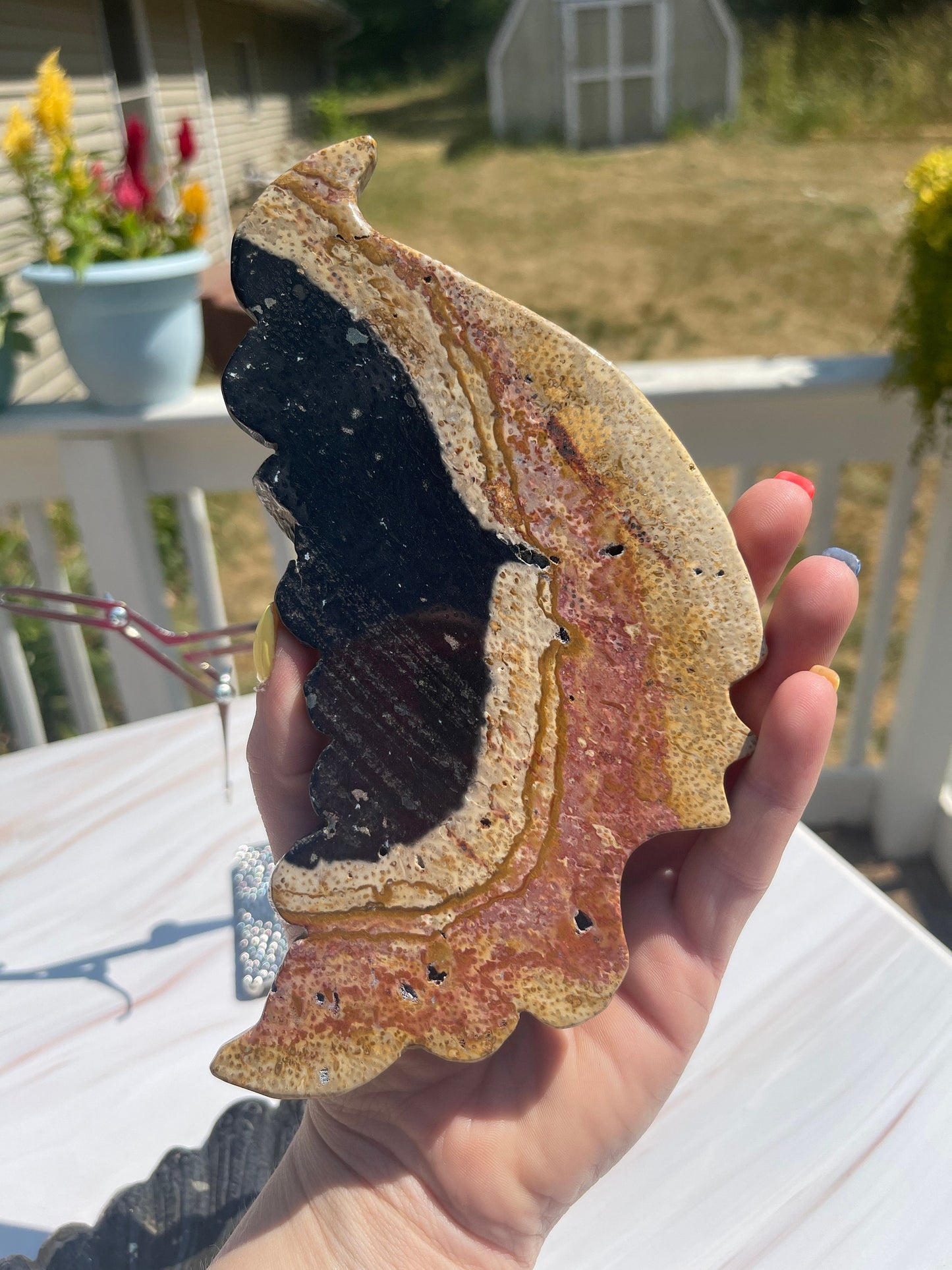 Fossilized Palm Root Crystal Dragon Wings Carving with Stand
