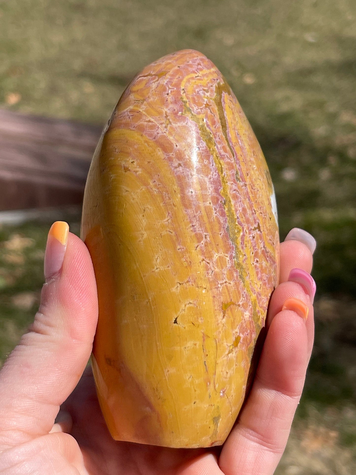 Orbicular Ocean Jasper Freeform
