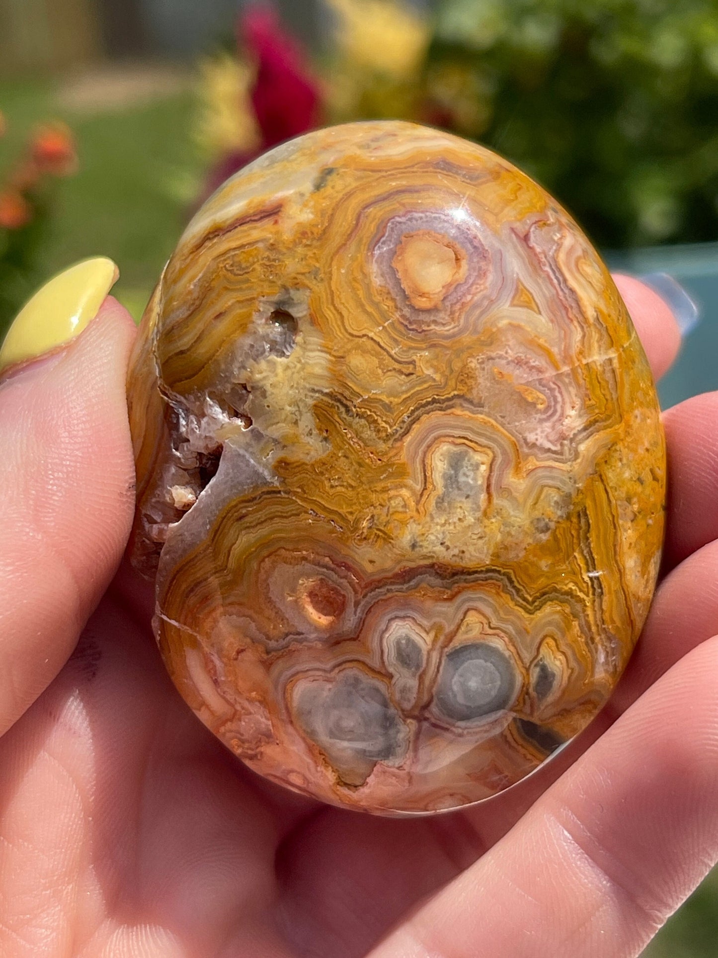 Crazy Lace Agate Palm Stone