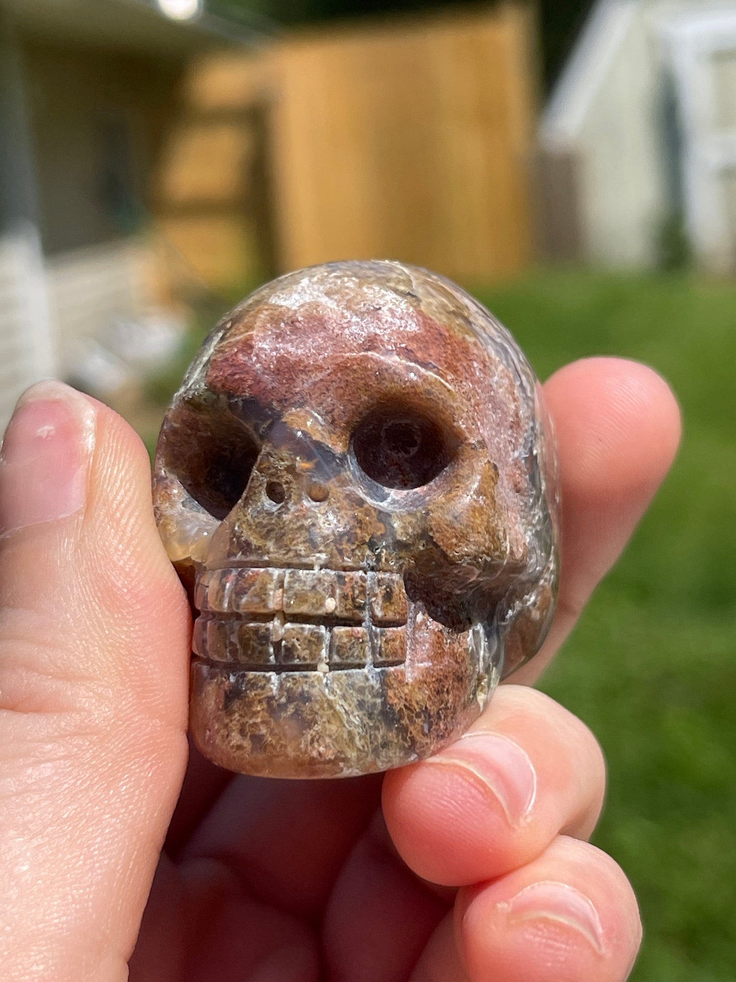 Ocean Jasper Skull Carving