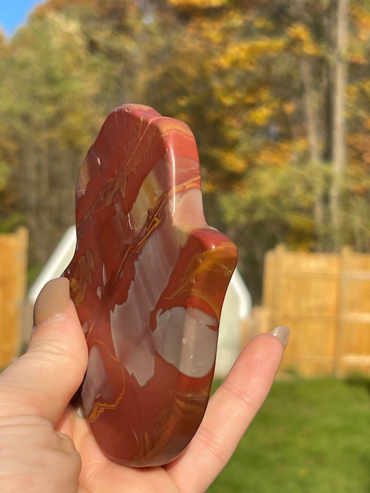 Noreena Jasper Hamsa Hand Carving | Crystal Carving | Meditation Stone