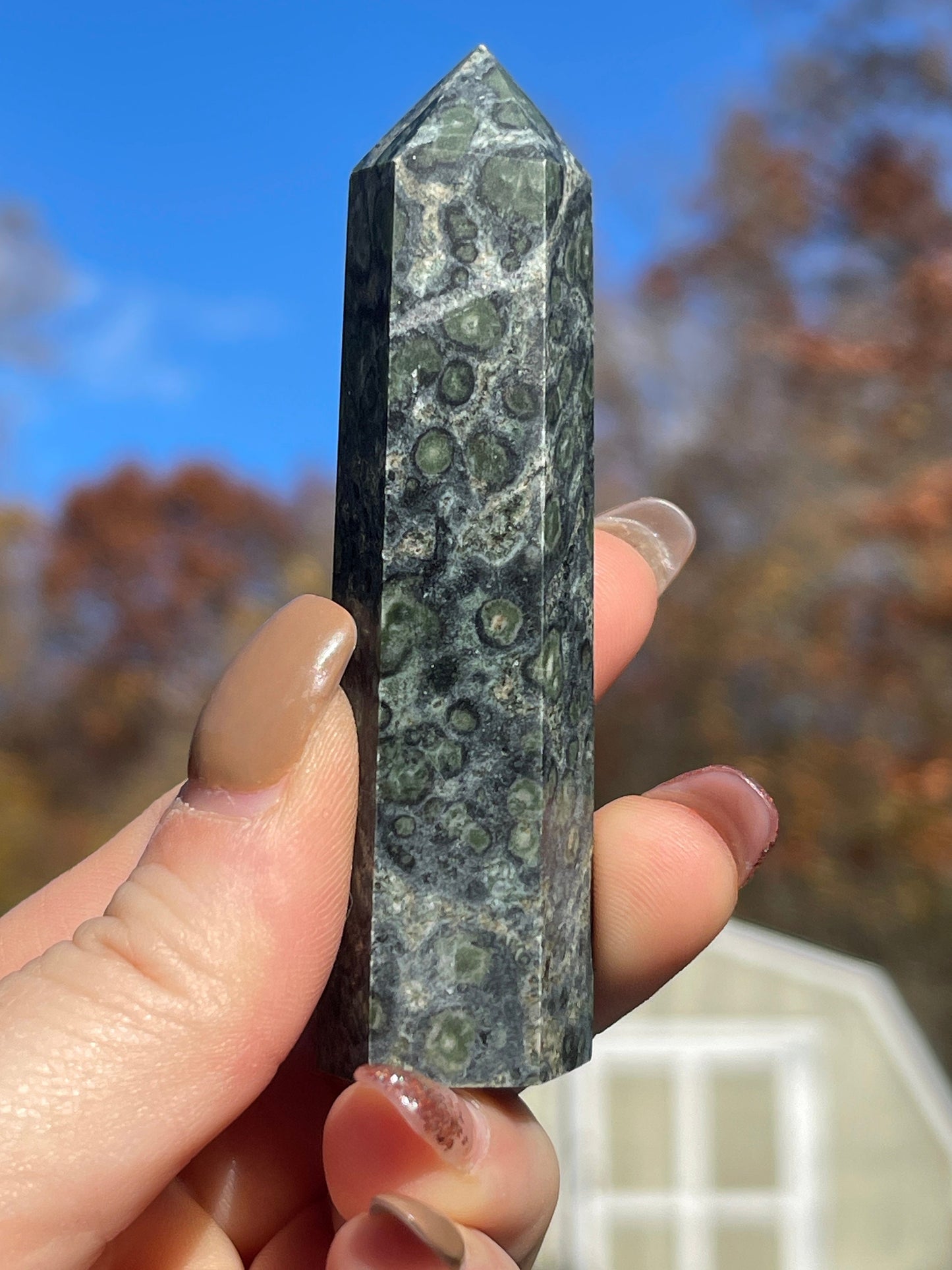 Kambaba Jasper Tower- Reiki Healing, Crystal Gifts