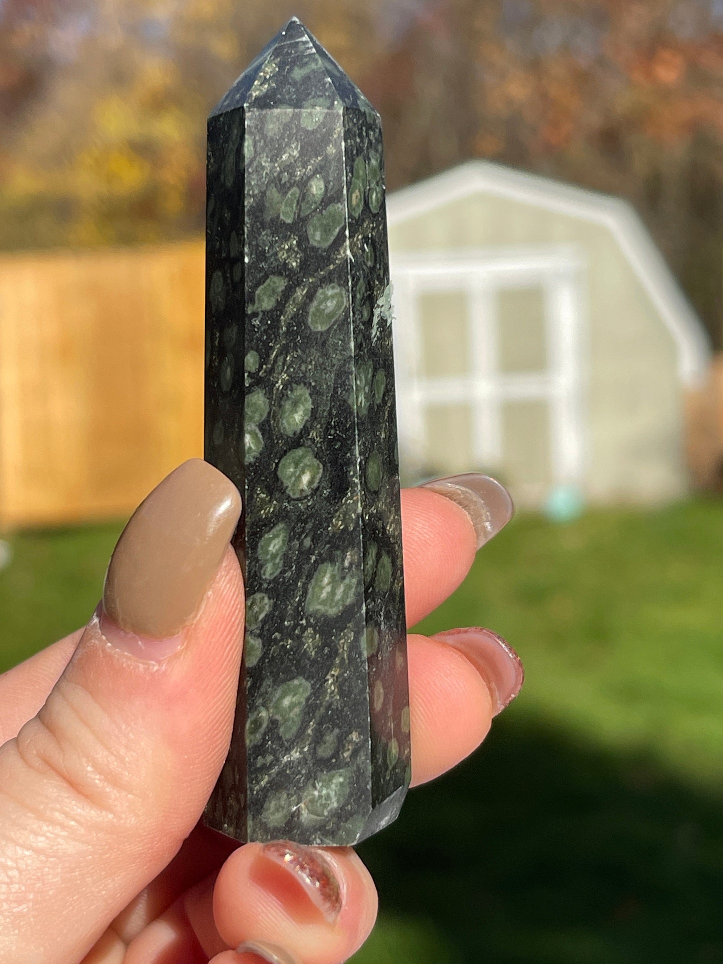 Kambaba Jasper Crystal Tower
