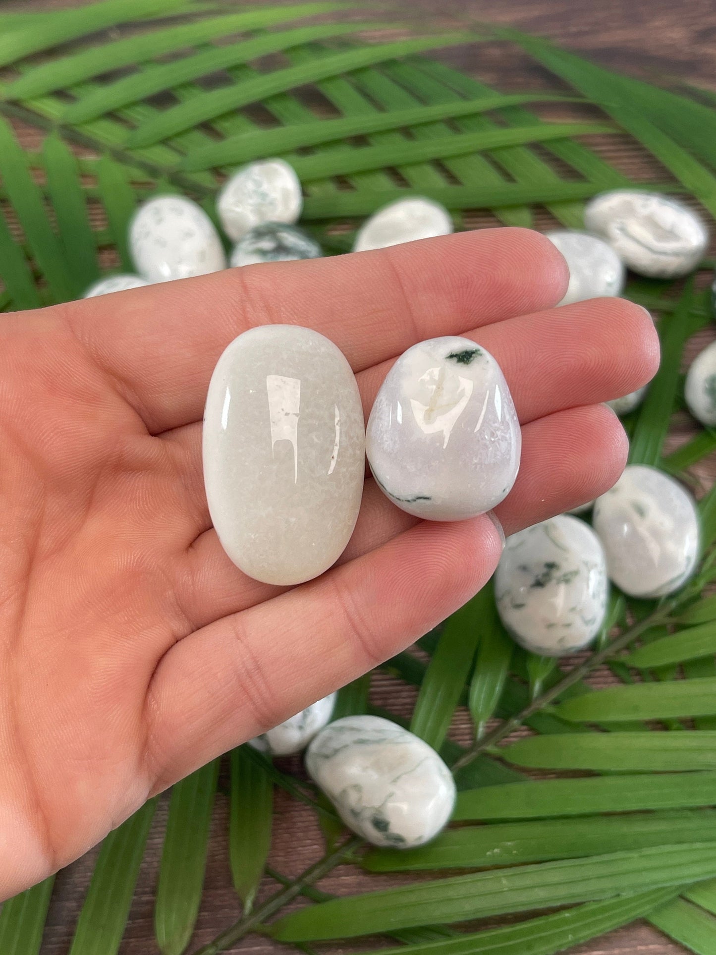 Tree Agate Tumbled Stone: Pocket Crystal for Grounding