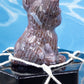 Ocean Jasper French Bulldog Carving