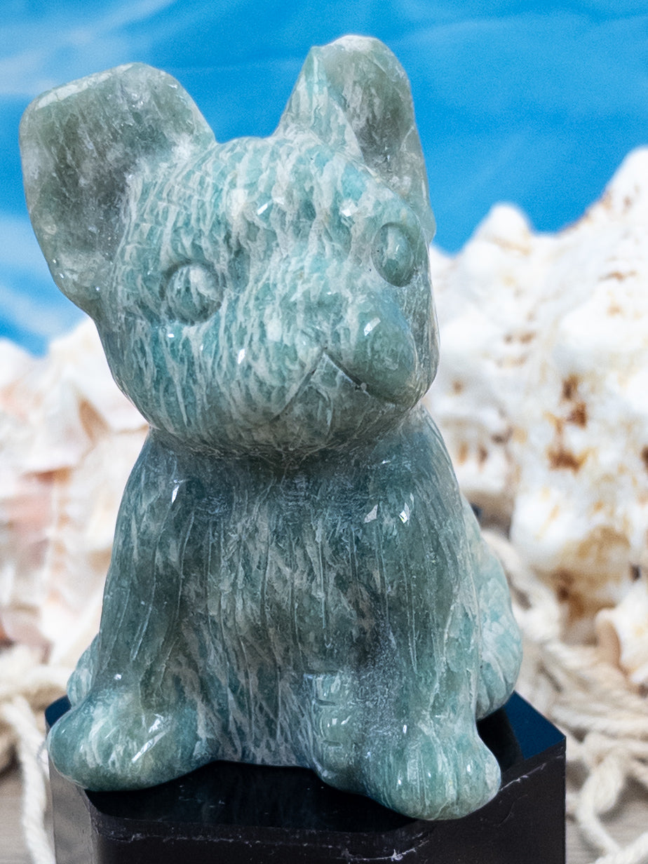 Ammonite French Bulldog Carving