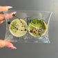 Taurus Zodiac Tea Light Candle Set