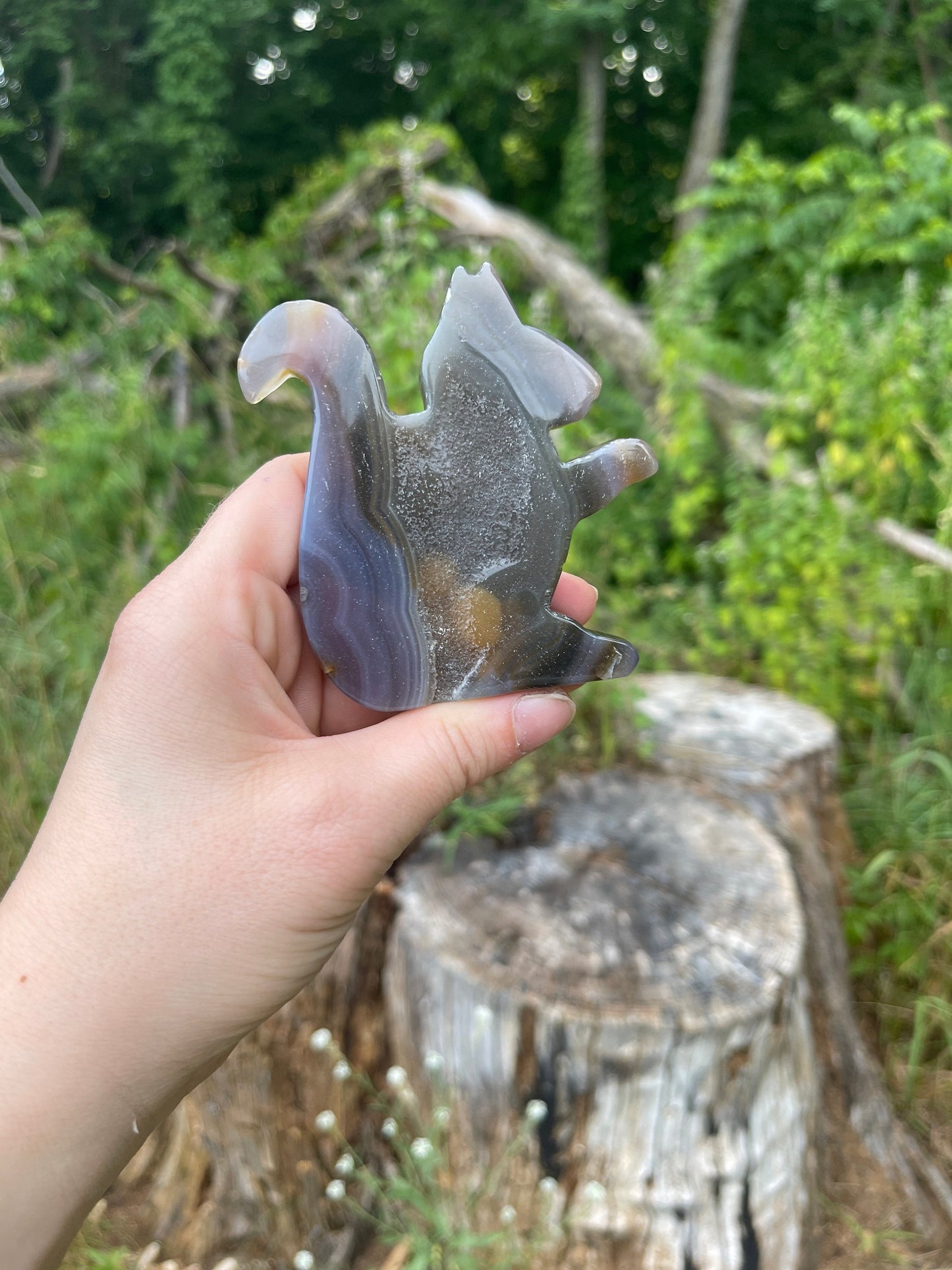 Druzy Agate Squirrel