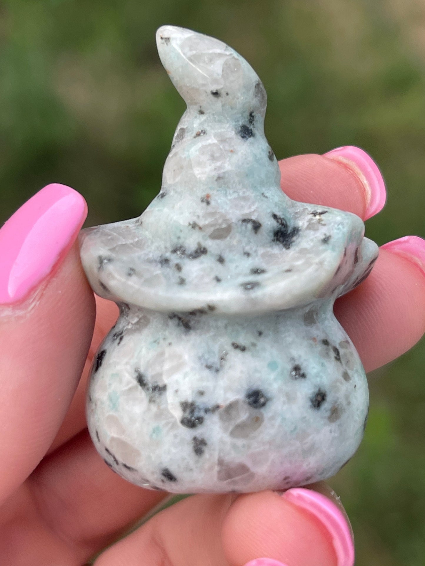 Kiwi Jasper Halloween Pumpkin