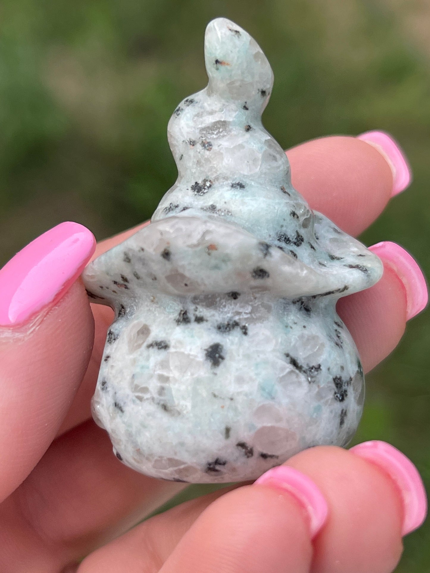 Kiwi Jasper Halloween Pumpkin