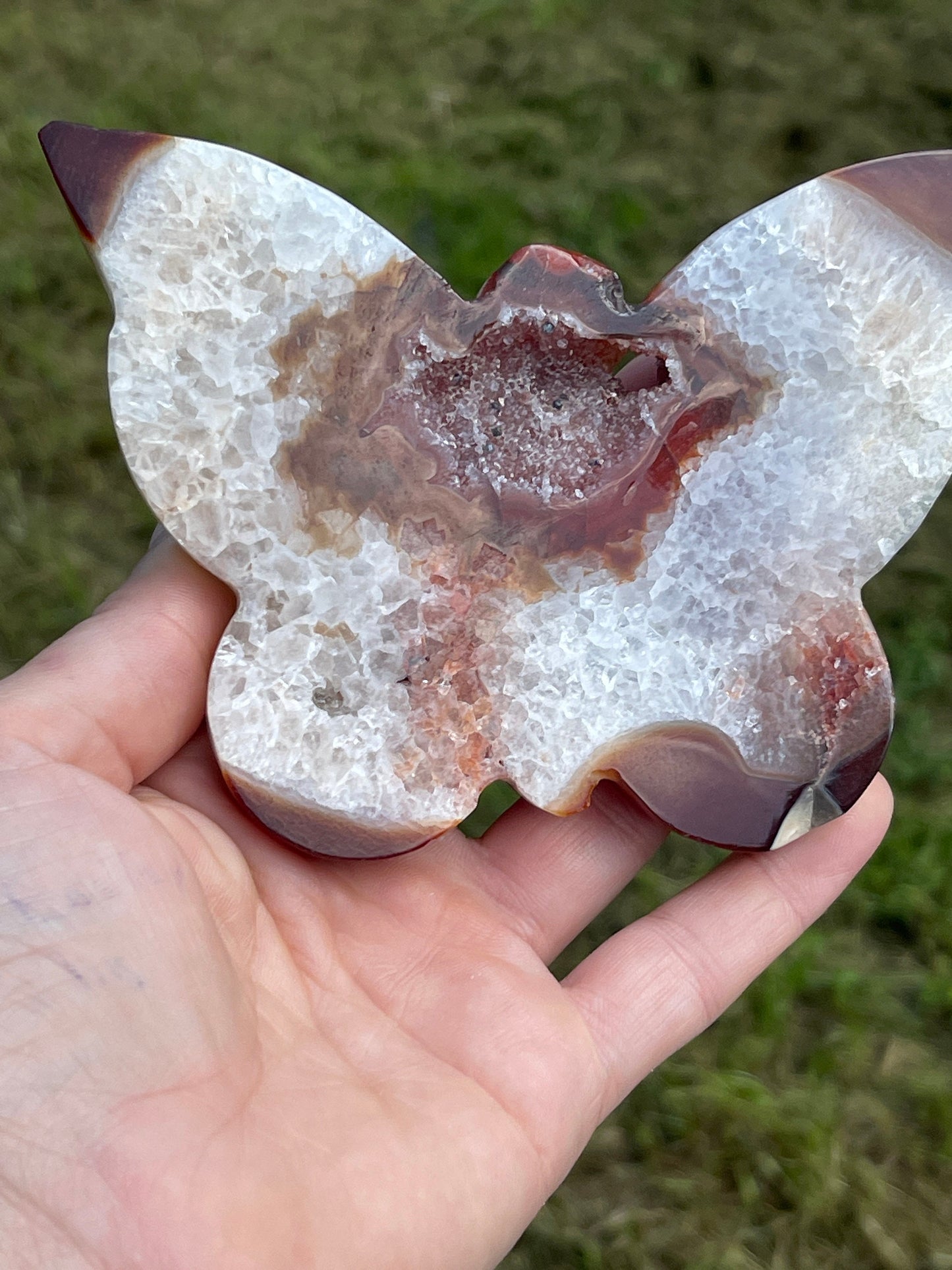Druzy Agate Butterfly Carving