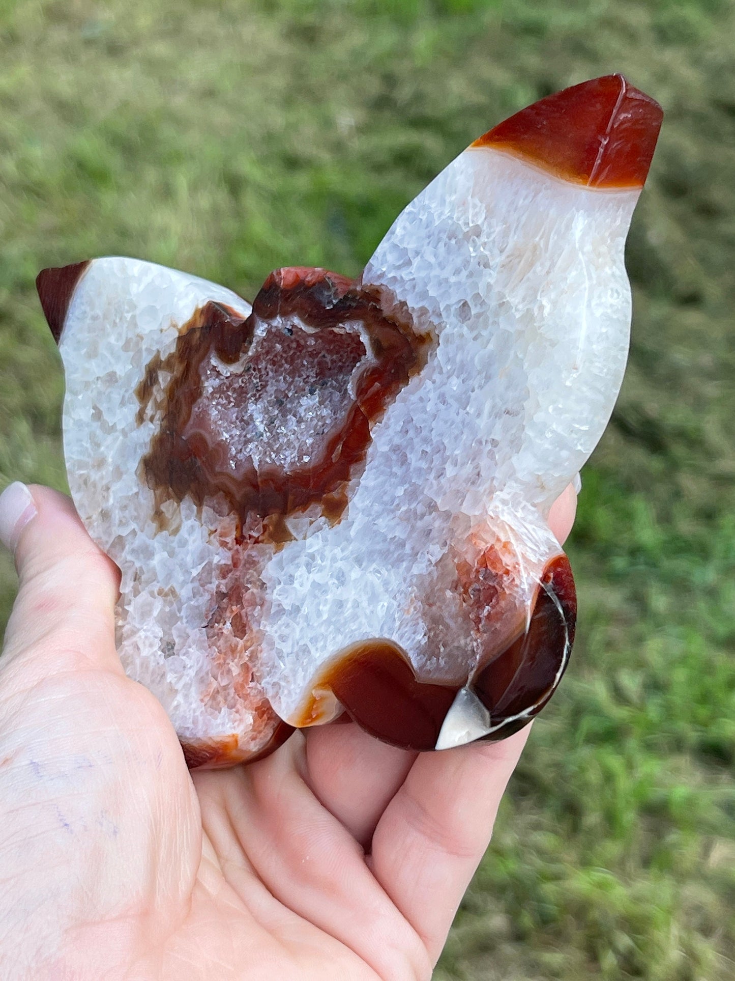 Druzy Agate Butterfly Carving