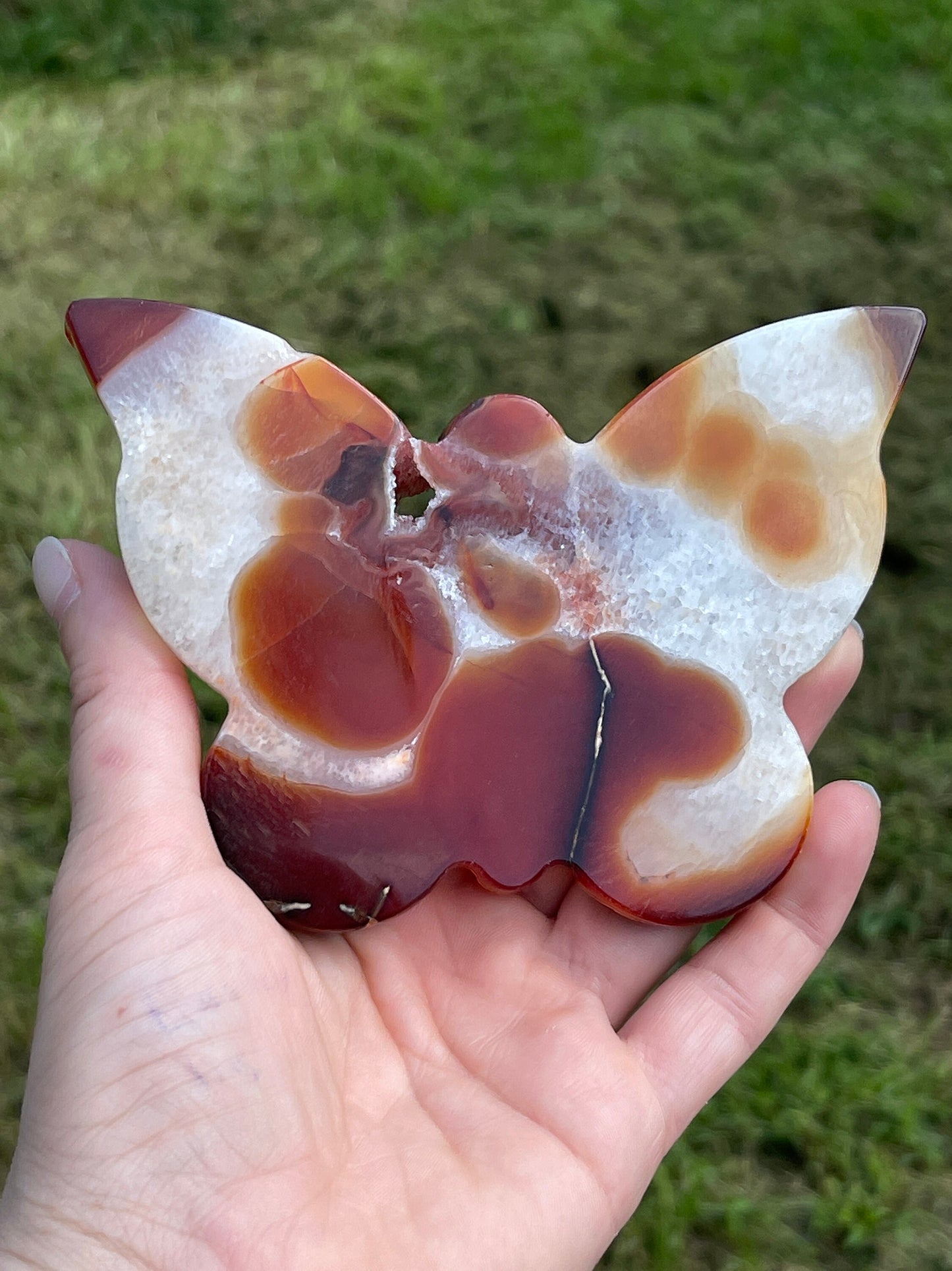 Druzy Agate Butterfly Carving