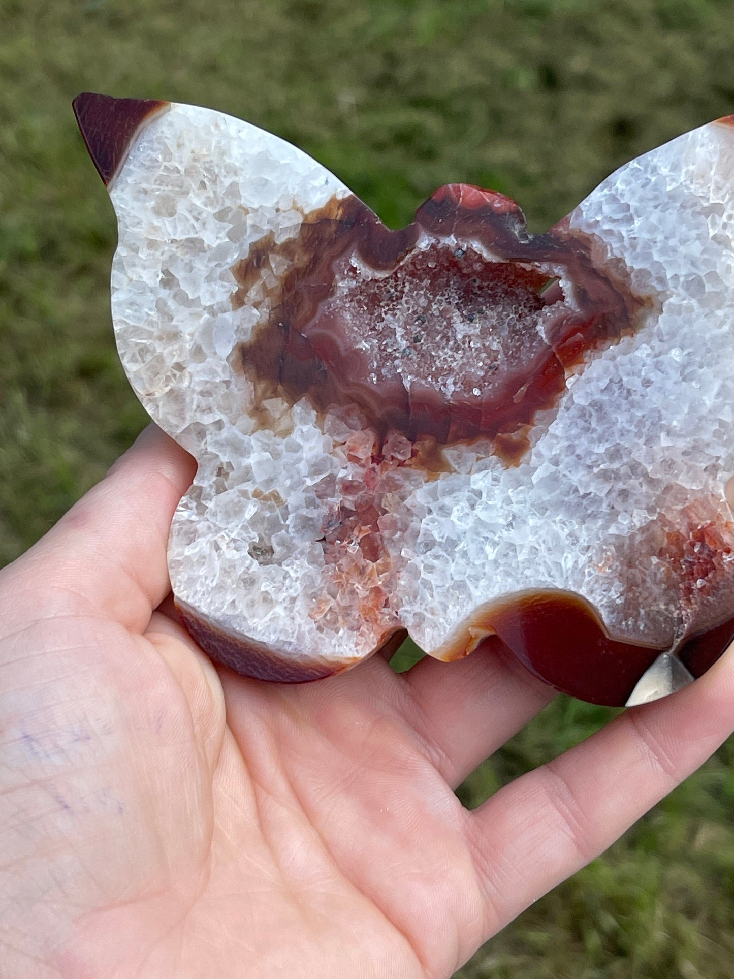 Druzy Agate Butterfly Carving