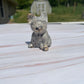 Dendritic Jasper French Bulldog Carving