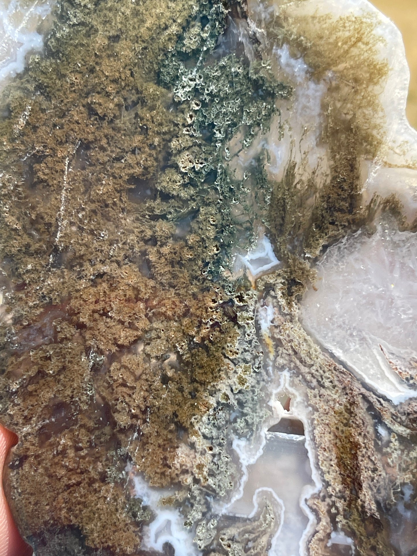 Moss Agate Crystal Butterfly Wings Carving with Stand