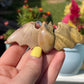 Mookaite Jasper Bat Carving