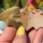 Mookaite Jasper Bat Carving