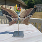 Fossilized Palm Root Crystal Dragon Wings Carving with Stand