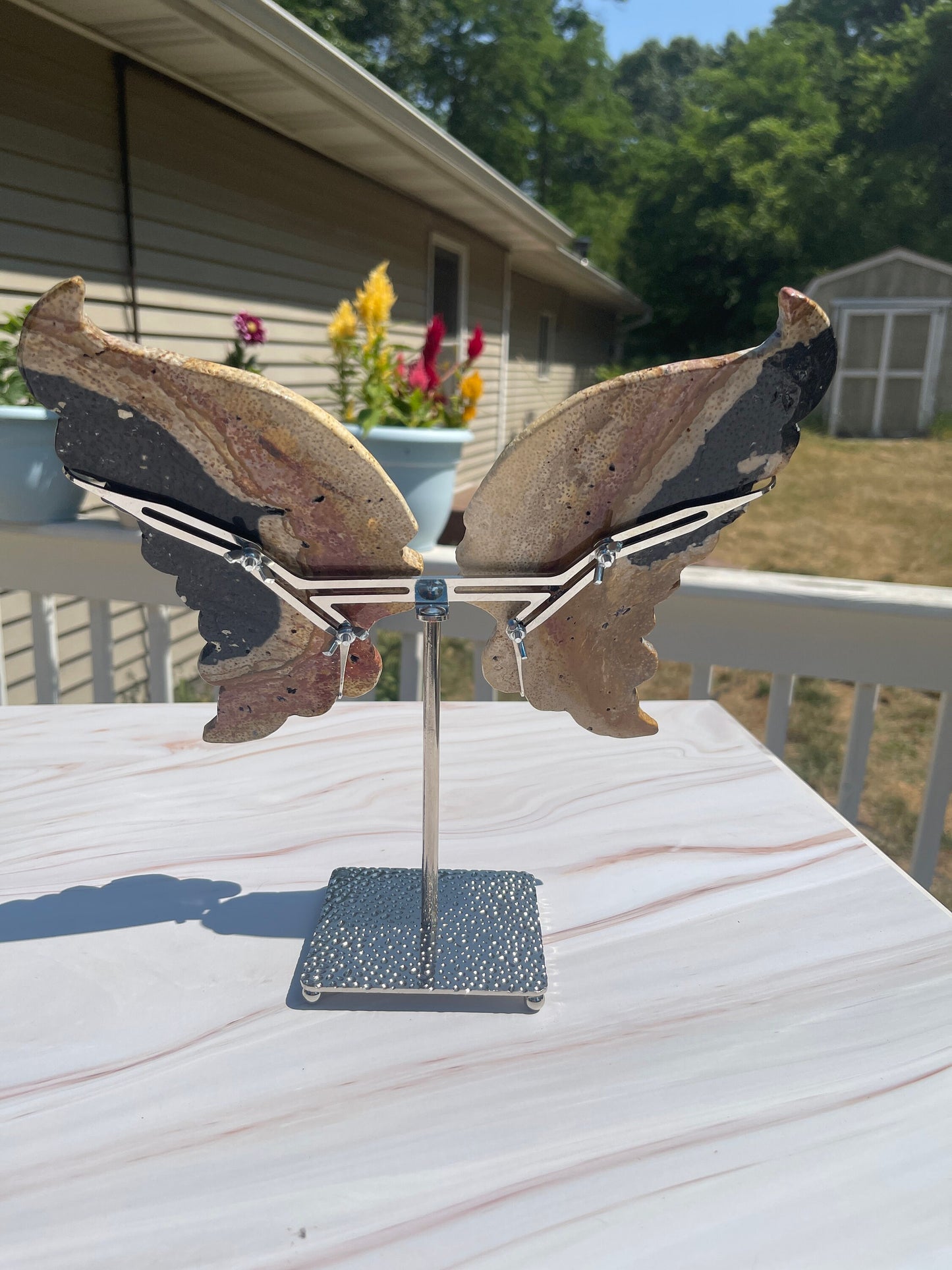 Fossilized Palm Root Crystal Dragon Wings Carving with Stand
