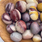 Mookaite Jasper Tumbled Stone: Australian Meditation Crystal