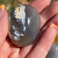 1 Orca Agate Palm Stone