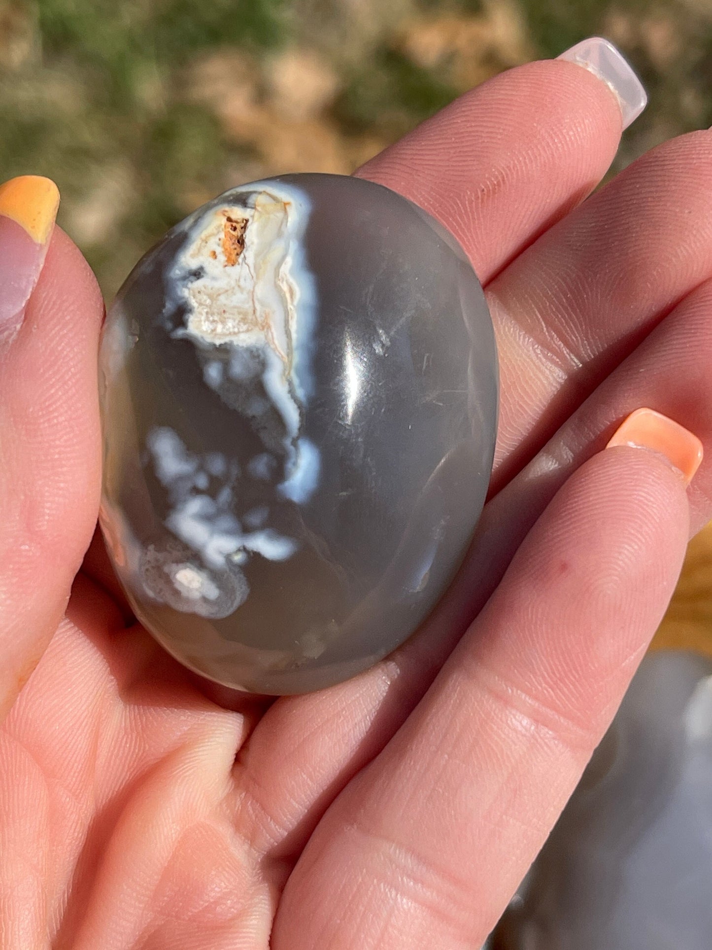 1 Orca Agate Palm Stone
