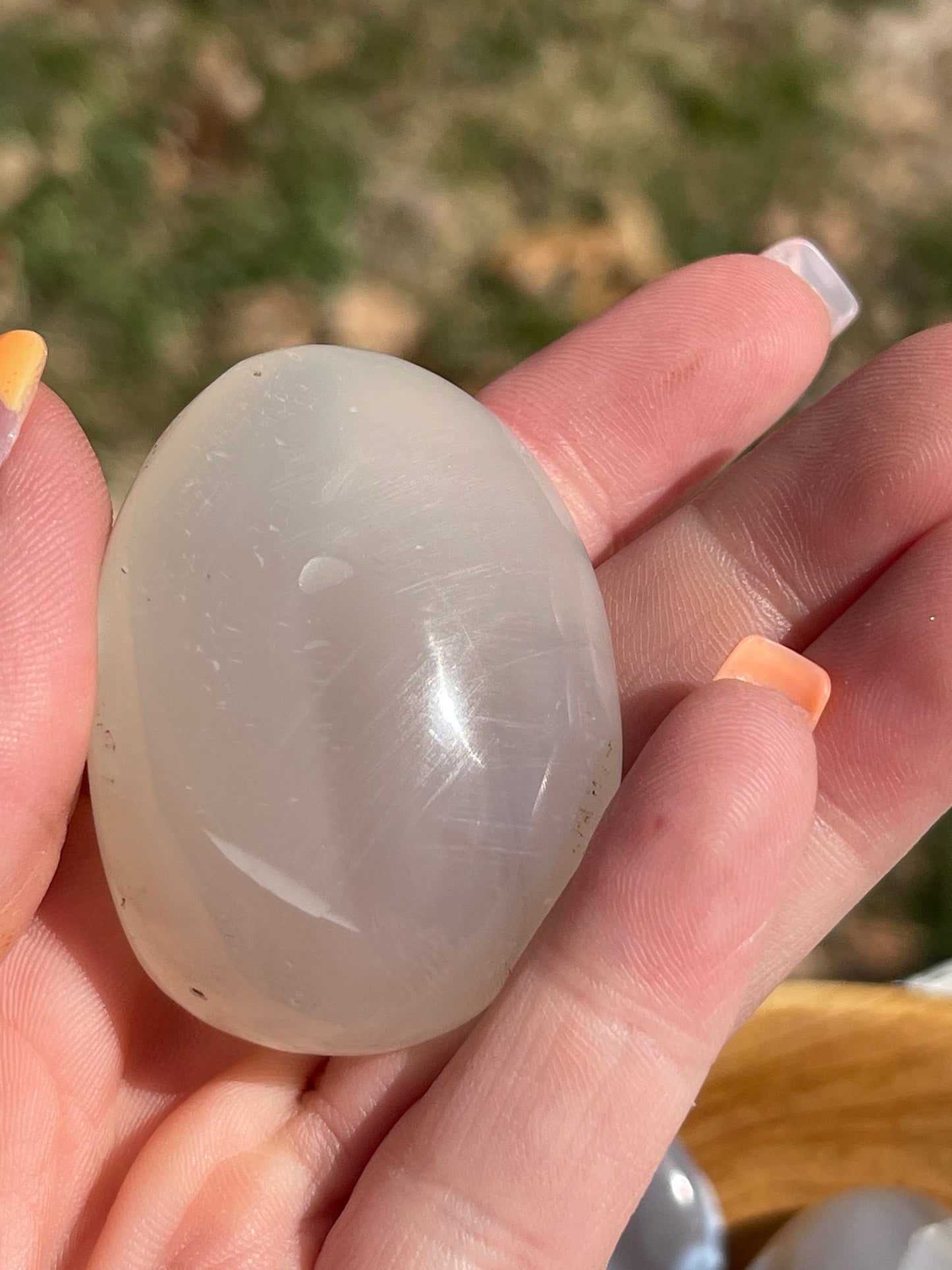 1 Orca Agate Palm Stone