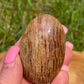 Thousand Layer Lodolite Palm Stone