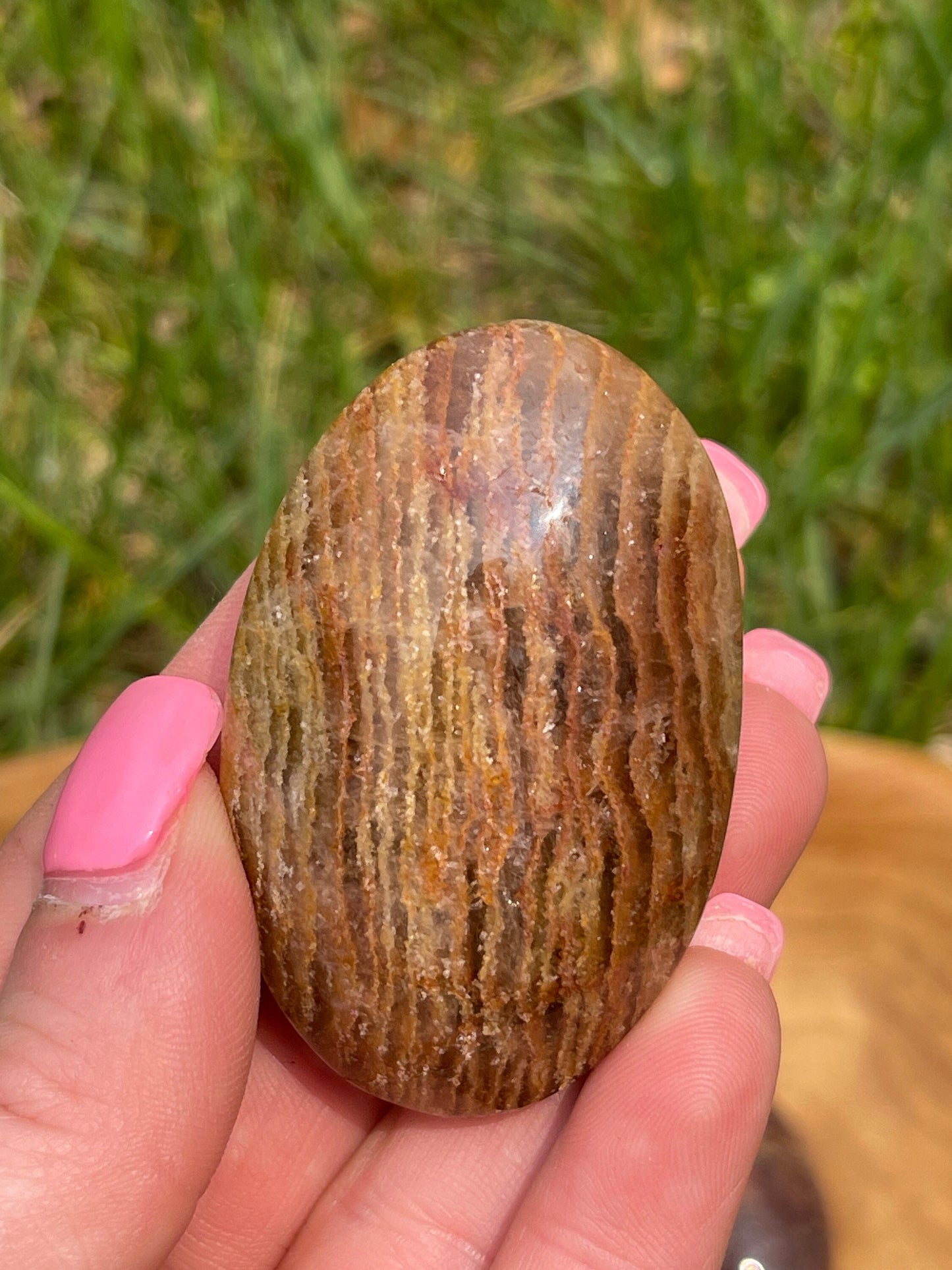 Thousand Layer Lodolite Palm Stone