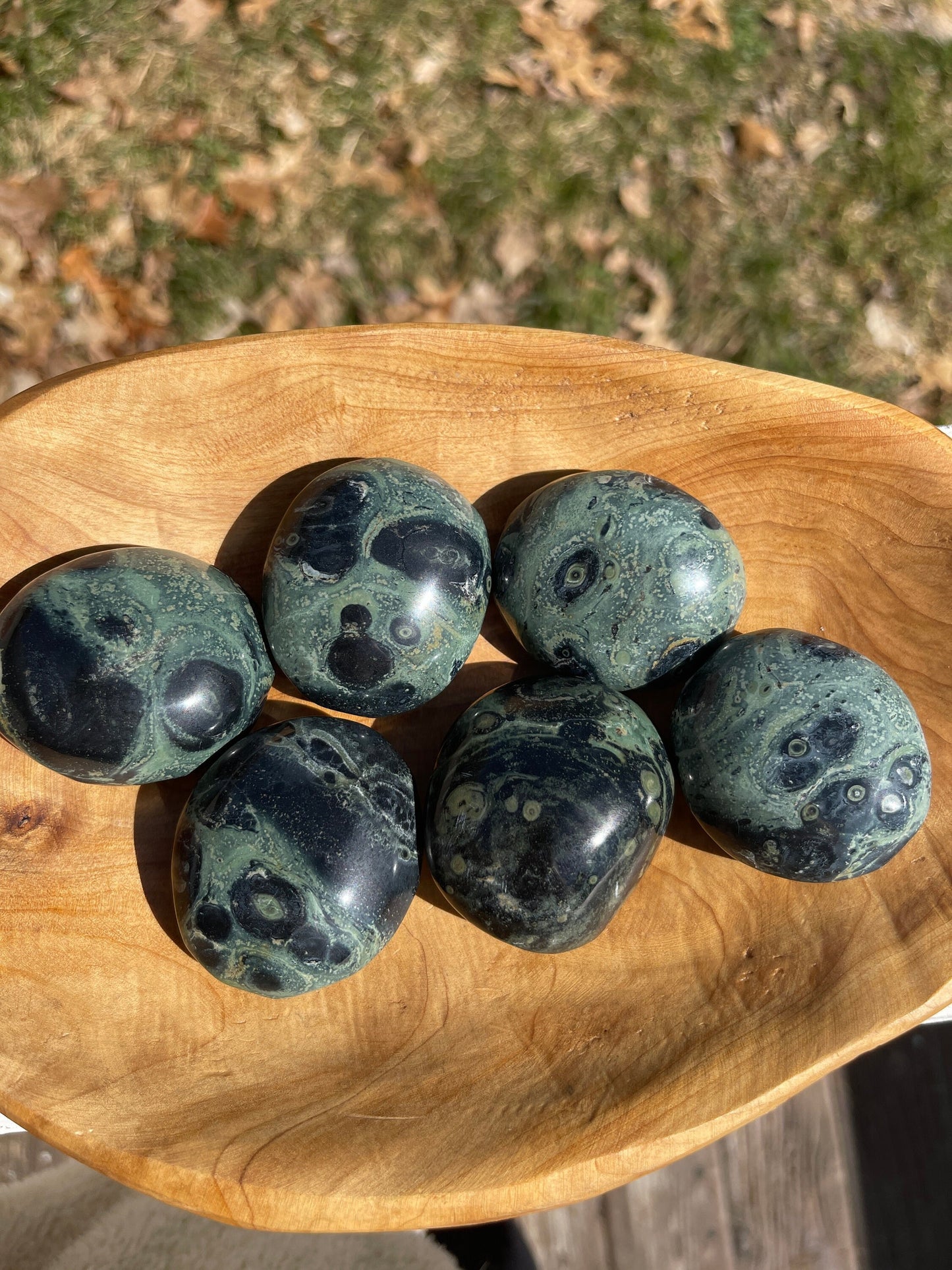 Kambaba Jasper Palm Stone