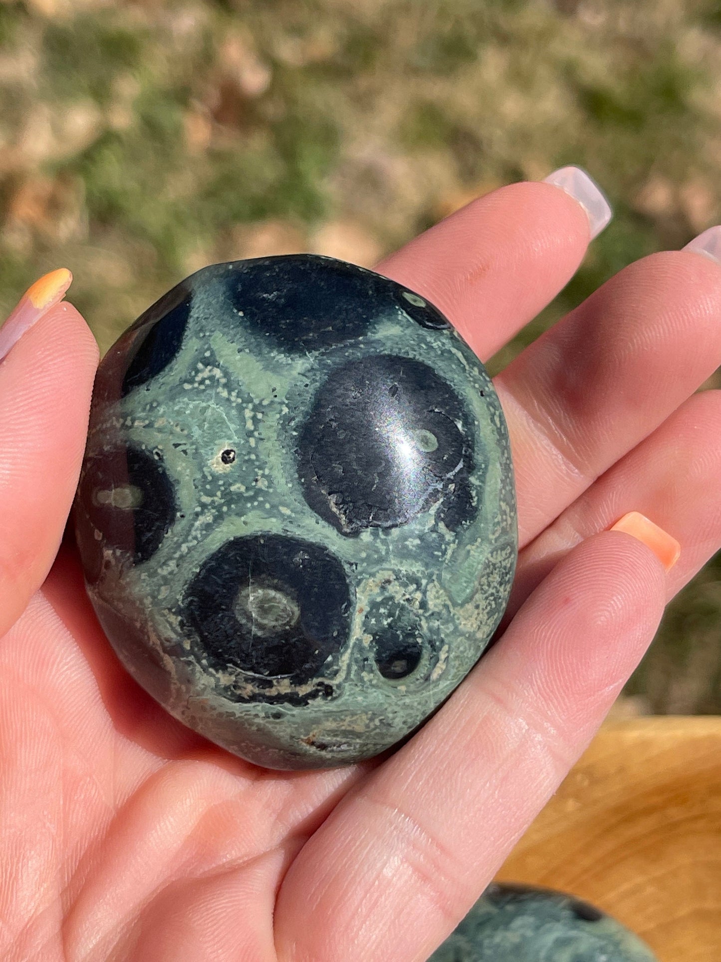 Kambaba Jasper Palm Stone
