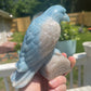 Trolleite Crystal Raven Carving: Meditation Stone, Animal Carving