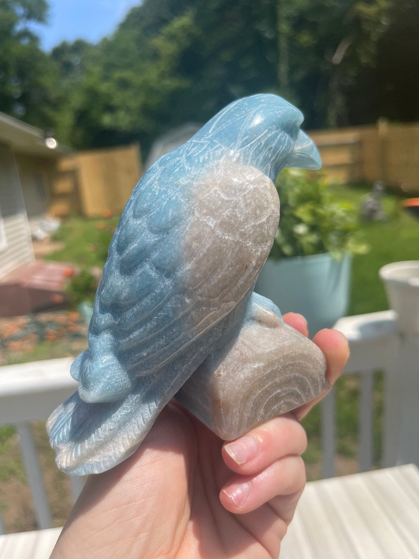 Trolleite Crystal Raven Carving: Meditation Stone, Animal Carving