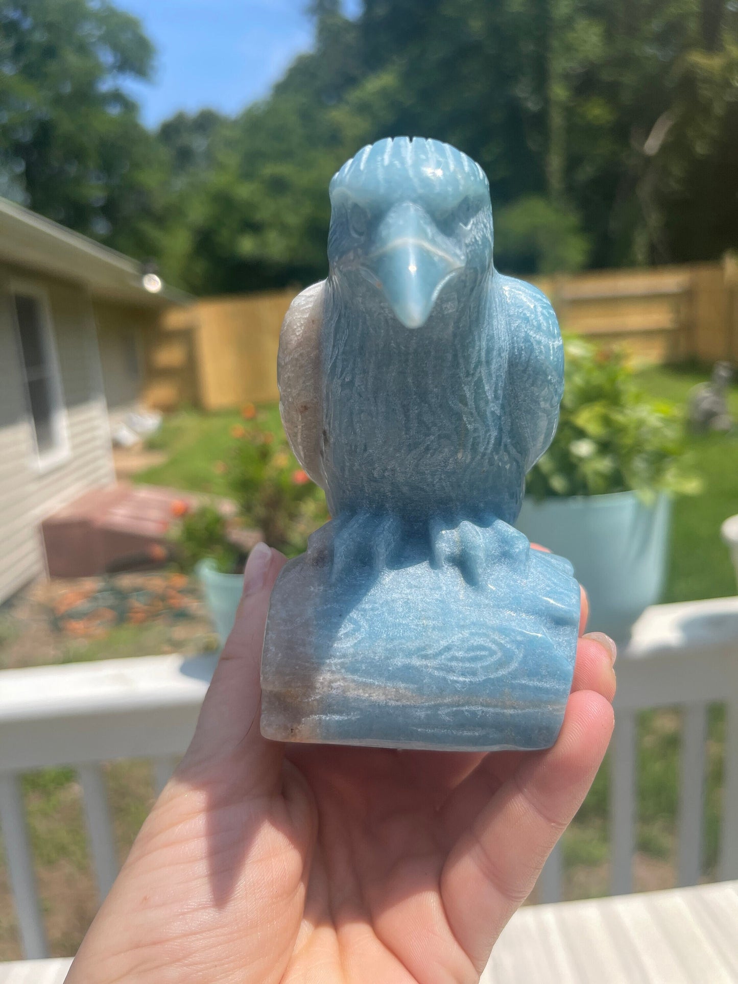 Trolleite Crystal Raven Carving: Meditation Stone, Animal Carving
