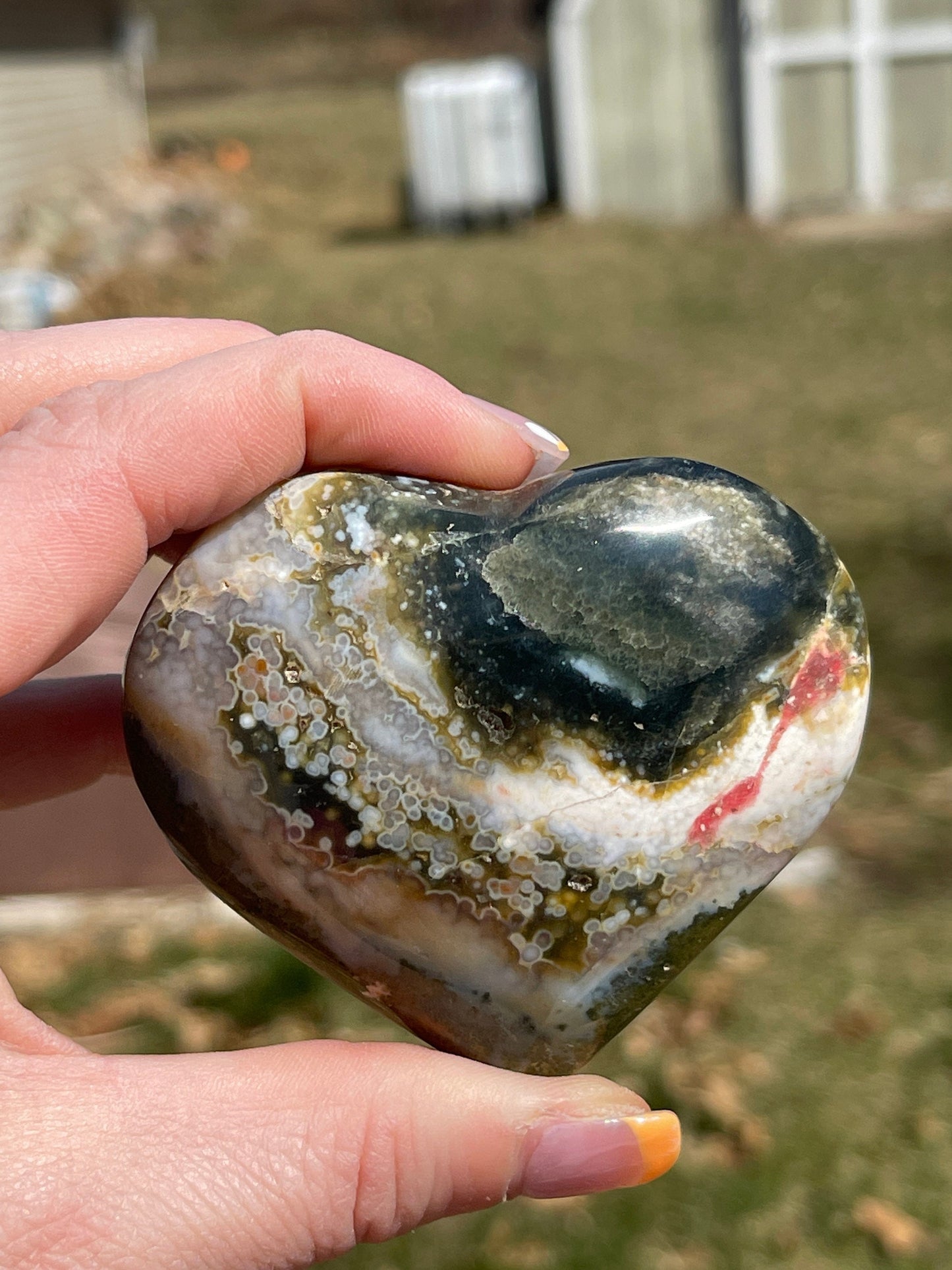 Ocean Jasper Heart Palm Stone