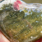 Ocean Jasper Heart Palm Stone