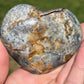 Dendritic Agate Heart Palm Stone