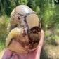 Septarian Nodule Egg