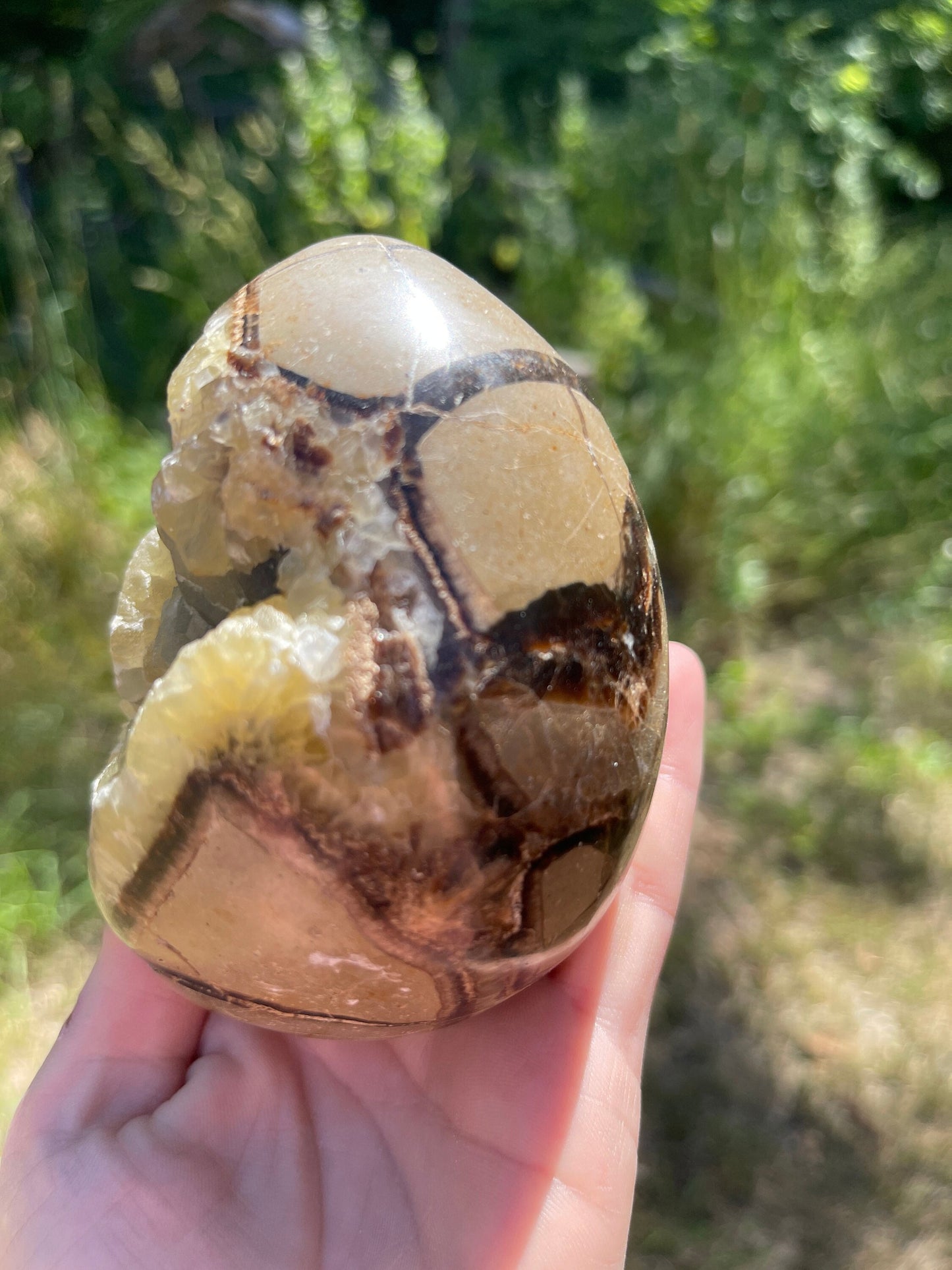 Septarian Nodule Egg