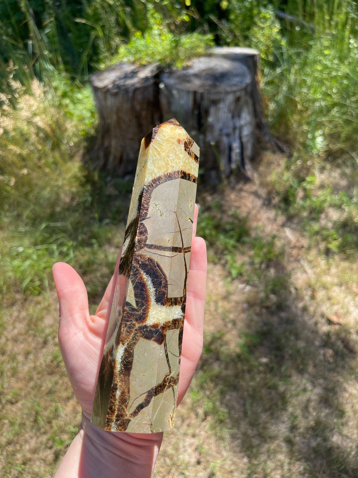 Septarian tower  | crystal gift | meditation stone