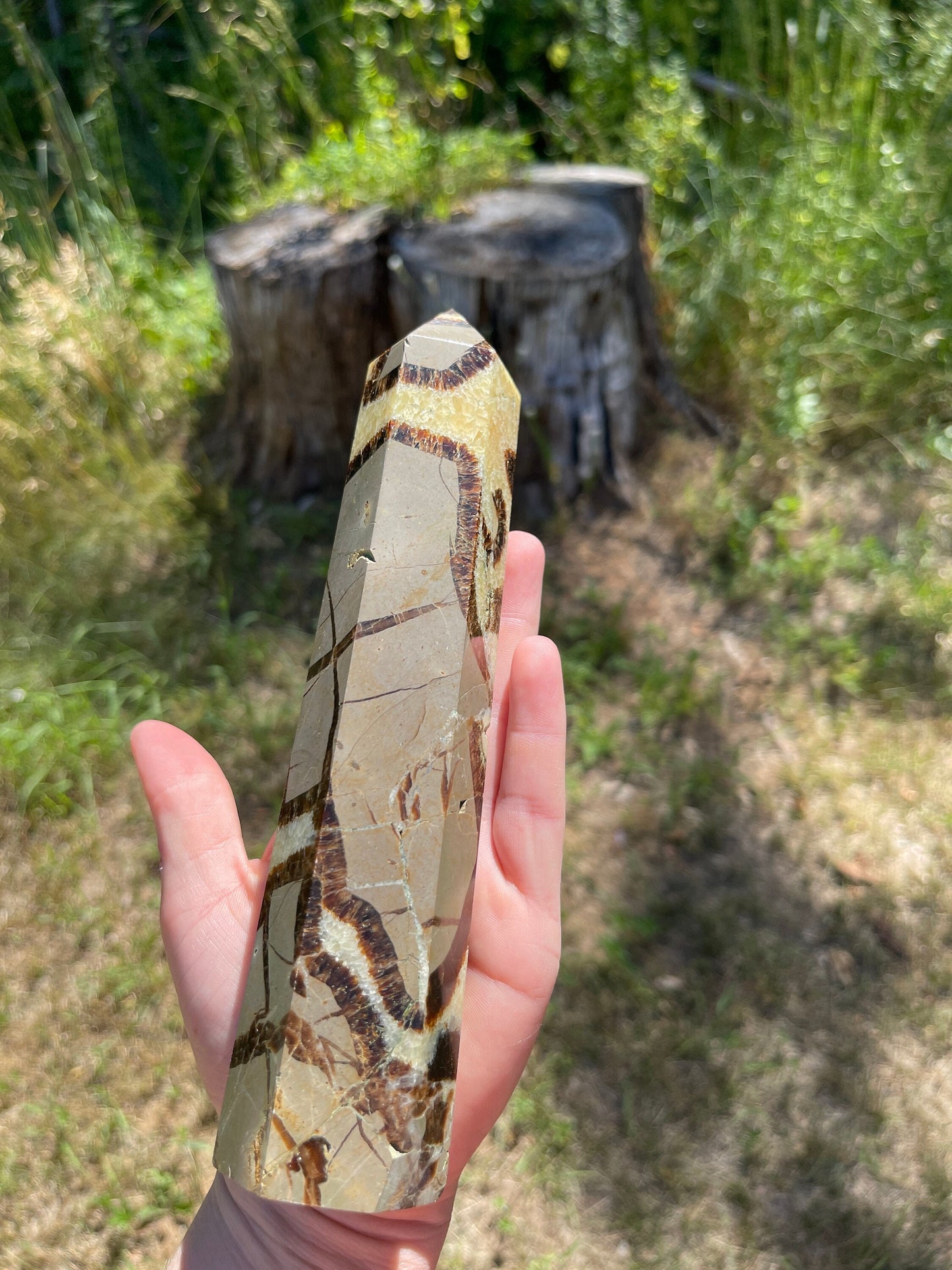 Septarian tower  | crystal gift | meditation stone