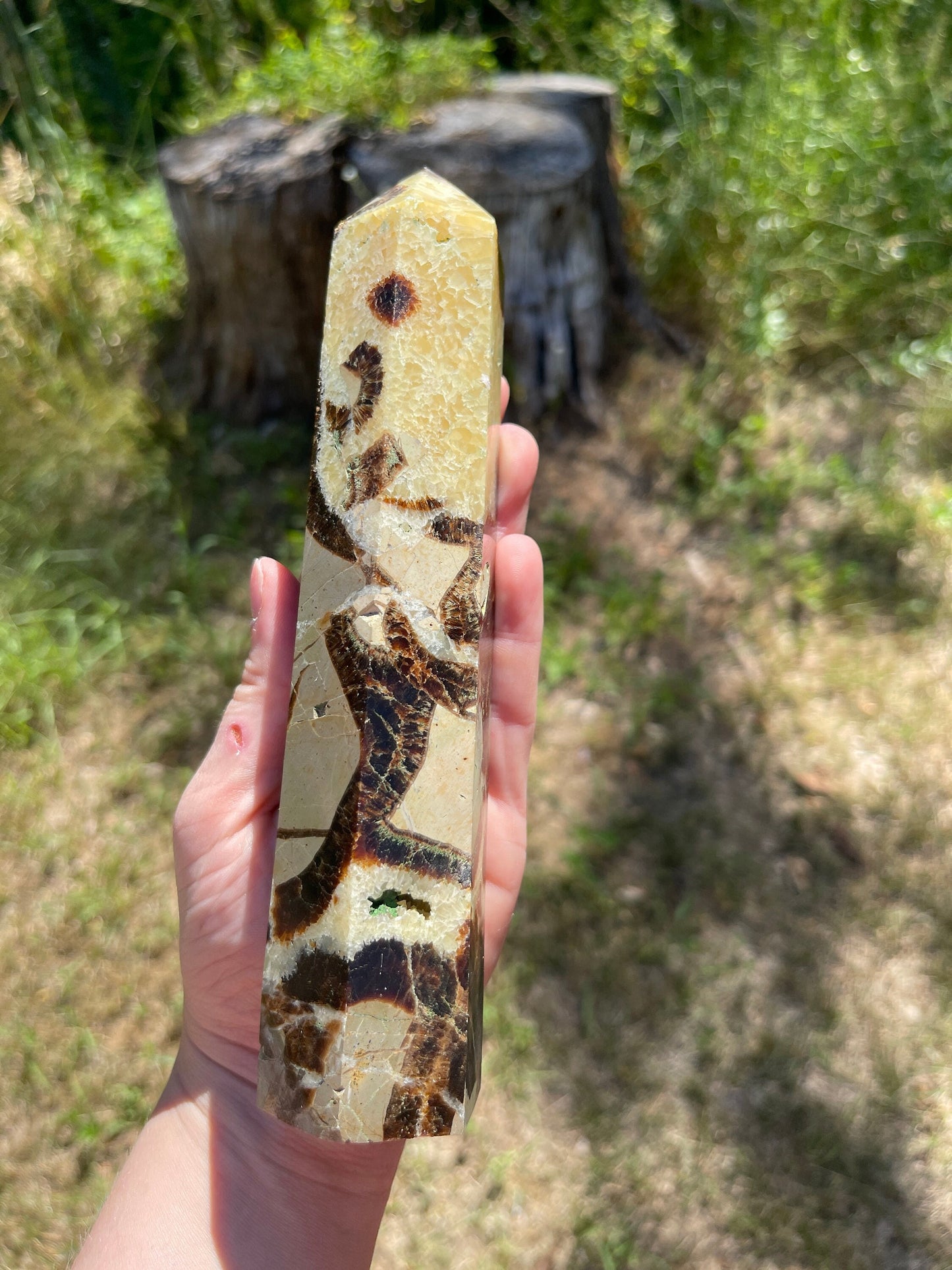 Septarian tower  | crystal gift | meditation stone