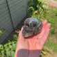 Labradorite Skull Carving with Blue Flash