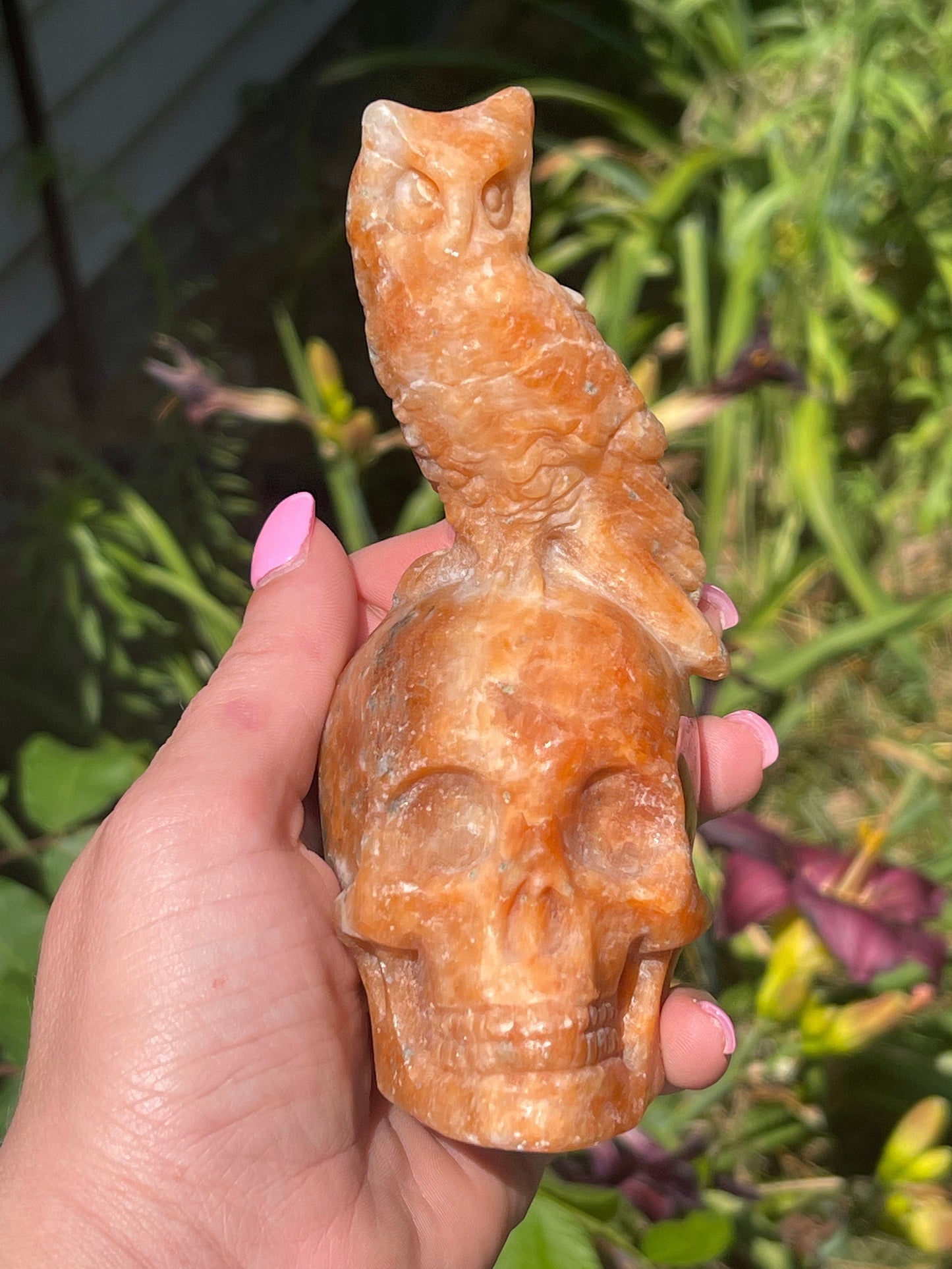Large Calcite Skull with Owl Carving