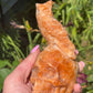 Large Calcite Skull with Owl Carving