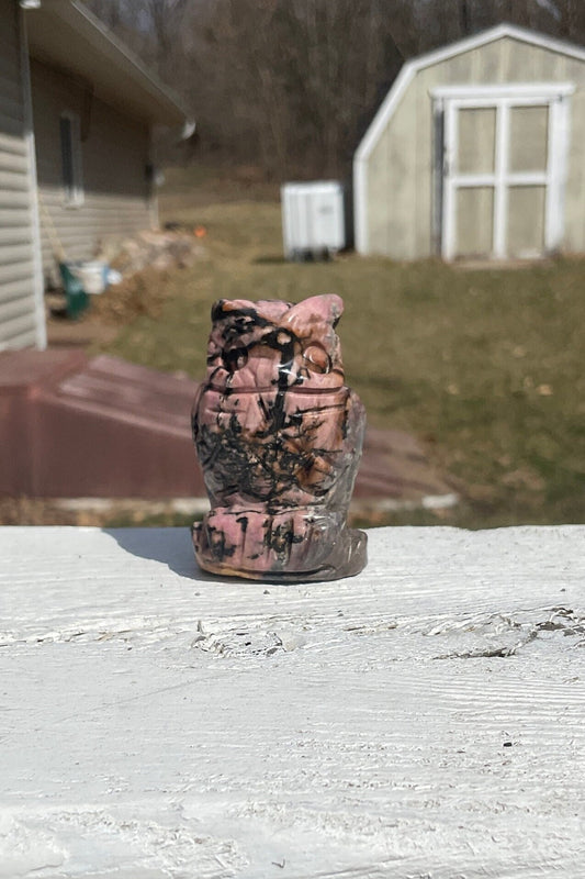 Rhodonite Owl Carving