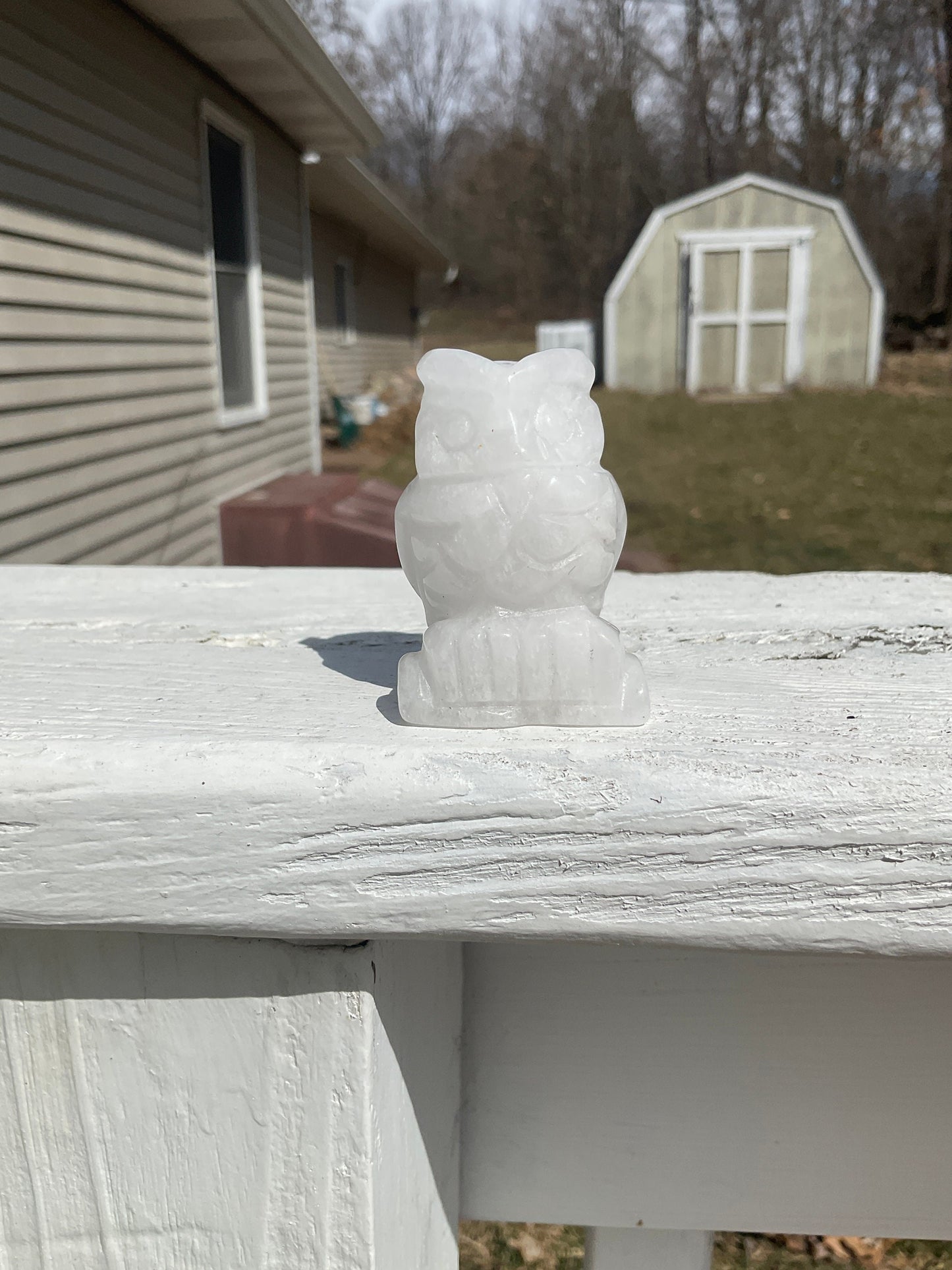 Clear Quartz Crystal Owl Carving