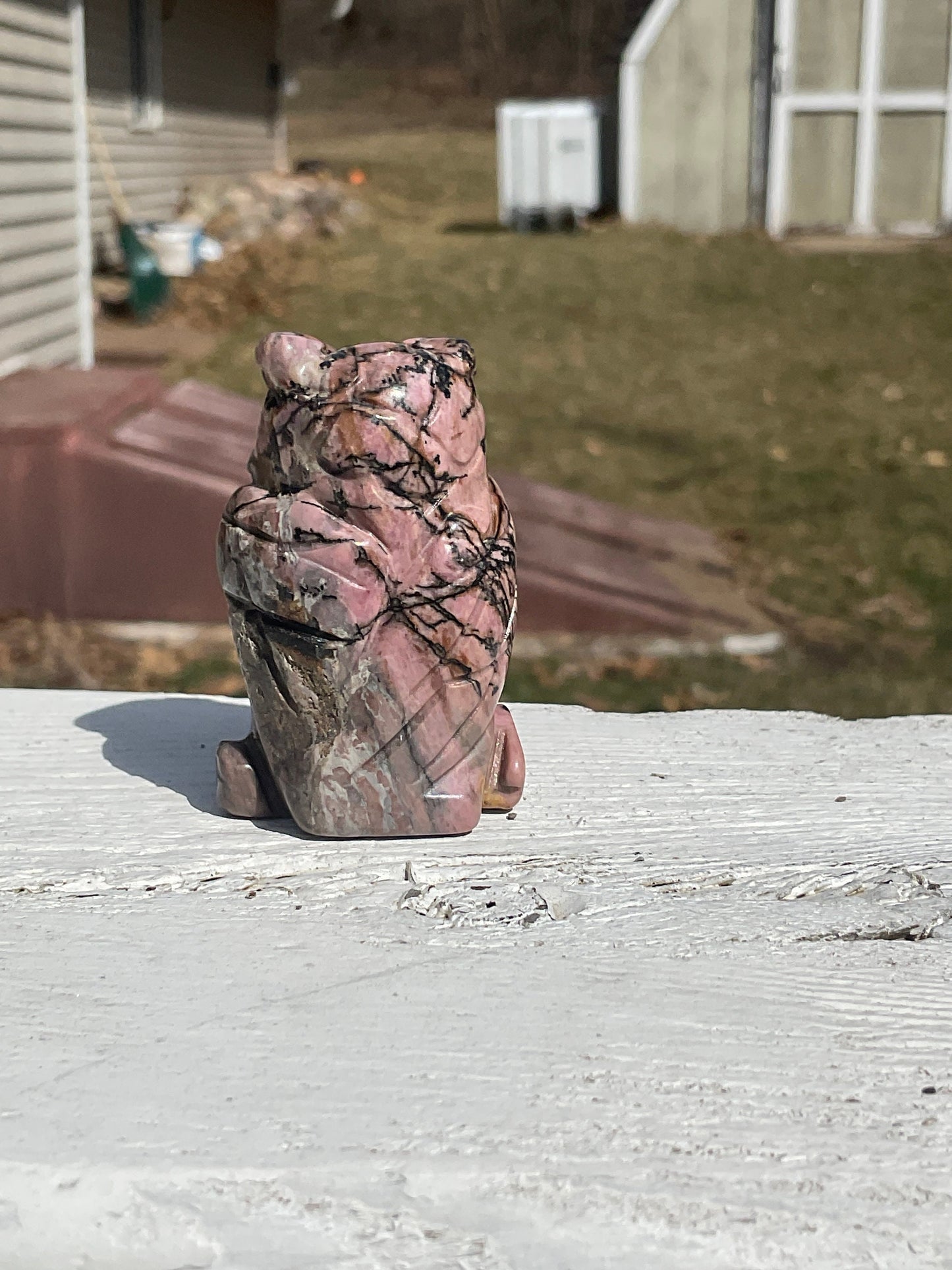 Rhodonite Owl Carving