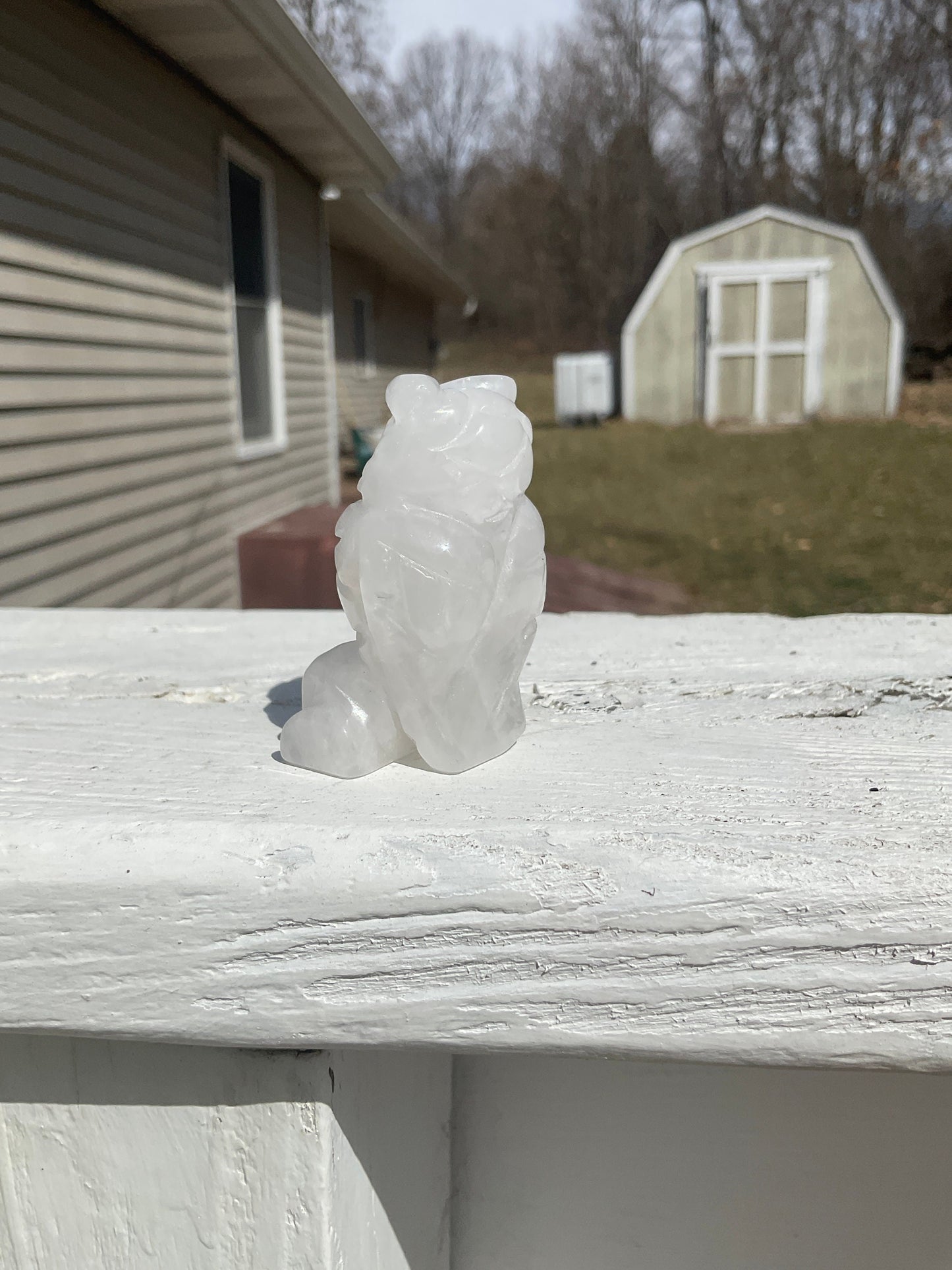 Clear Quartz Crystal Owl Carving